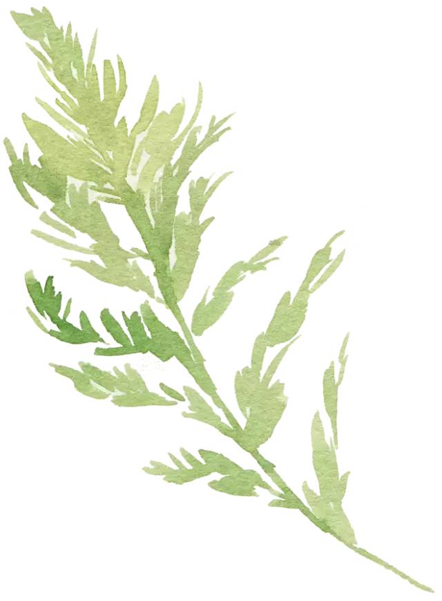 治疗牙痛的方法小妙招,牙痛用什么方法能缓解牙痛