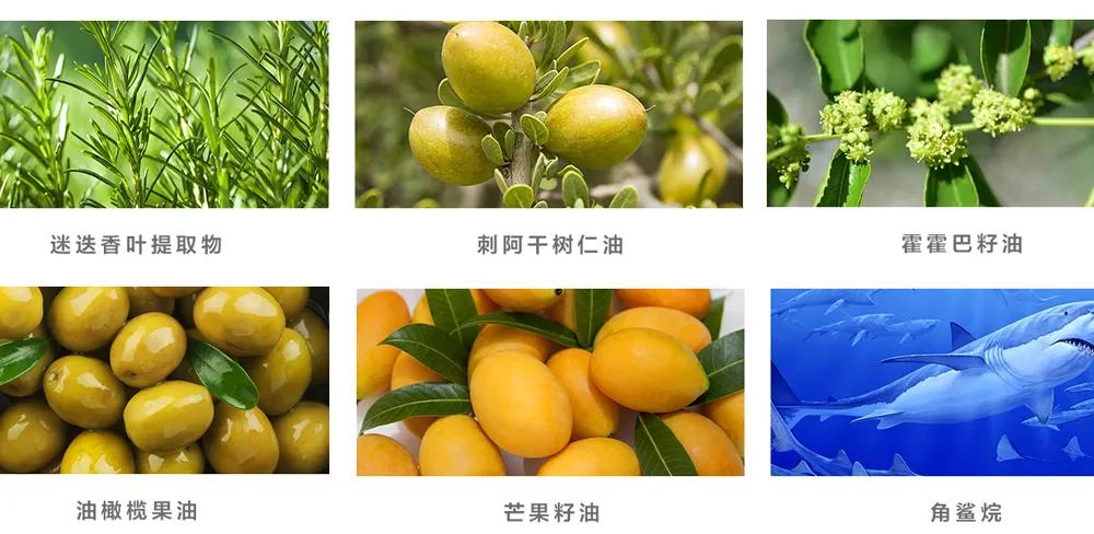 日本岛姿元气素颜霜,岛姿一秒元气素颜霜