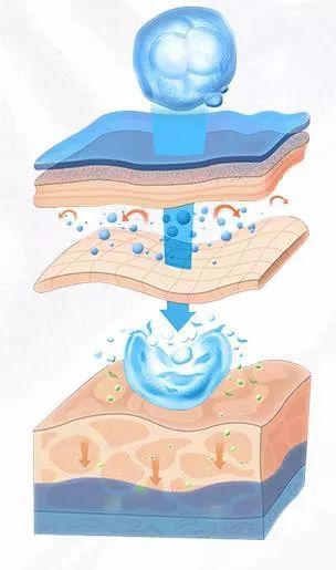 德妃紫苏水乳和黛珂水乳哪个更好,黛珂紫苏水牛油果乳液与德妃水乳