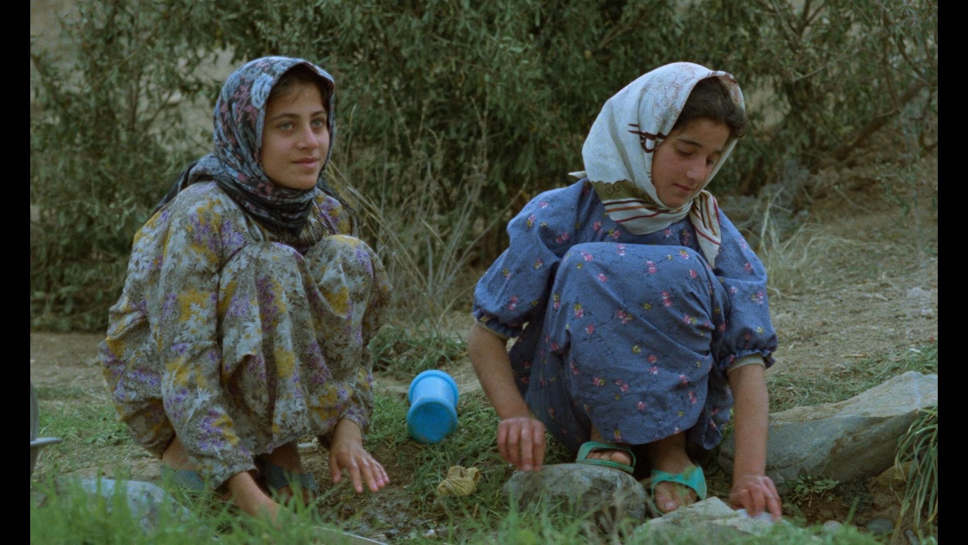 伊朗电影随风而逝想说明什么,伊朗影片生命的源泉