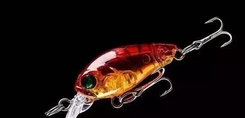 路亚是怎么钓鱼的,路亚新手入门教程路亚黑鱼