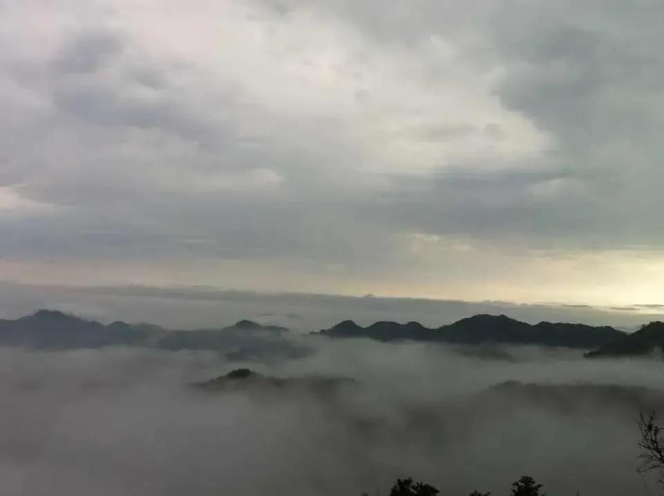 泰顺葛洋陶氏三兄弟修建的三条古道，等你来打卡～