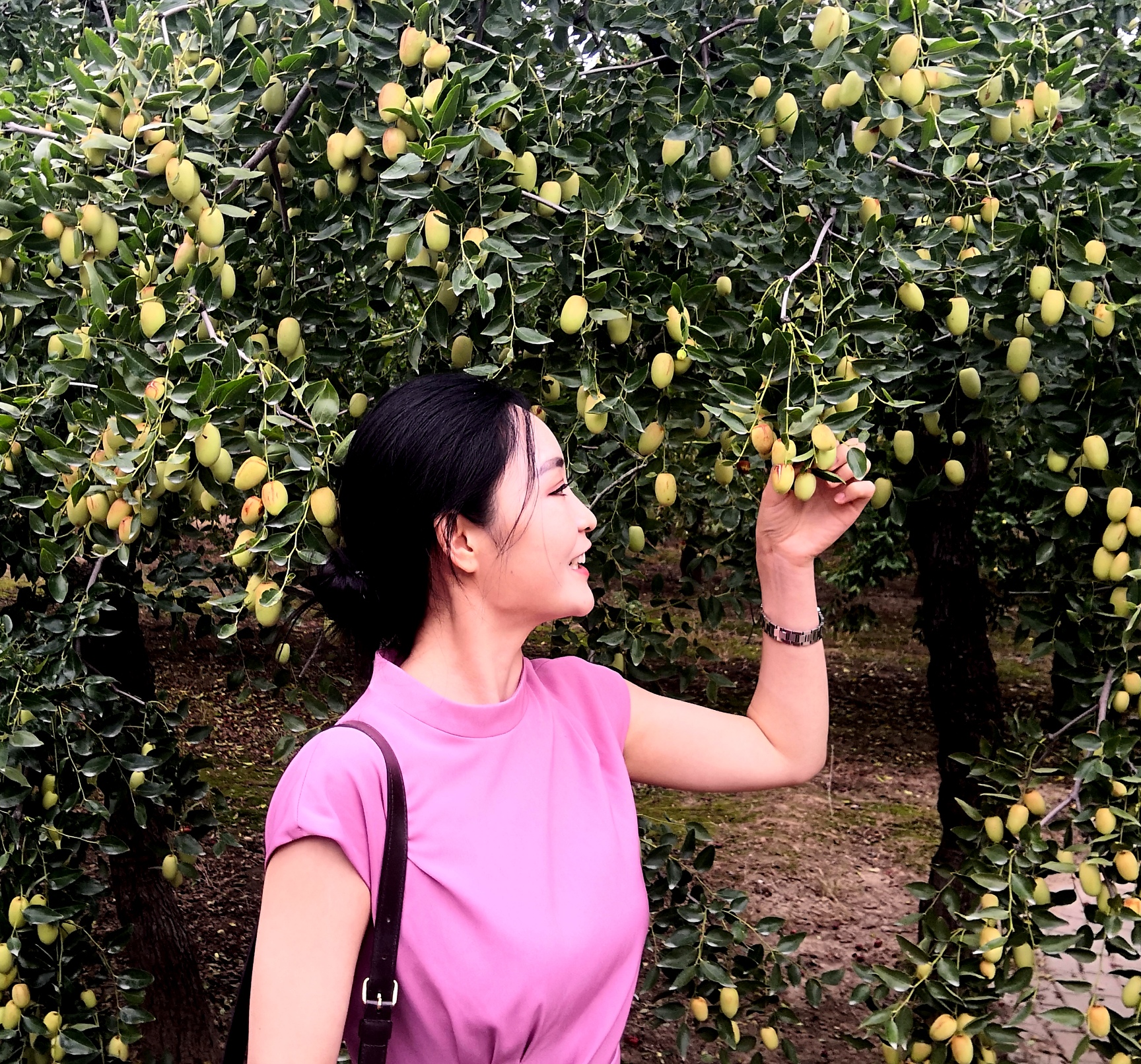 主持人苏苏国际观察直播间,主持人苏苏国际观察