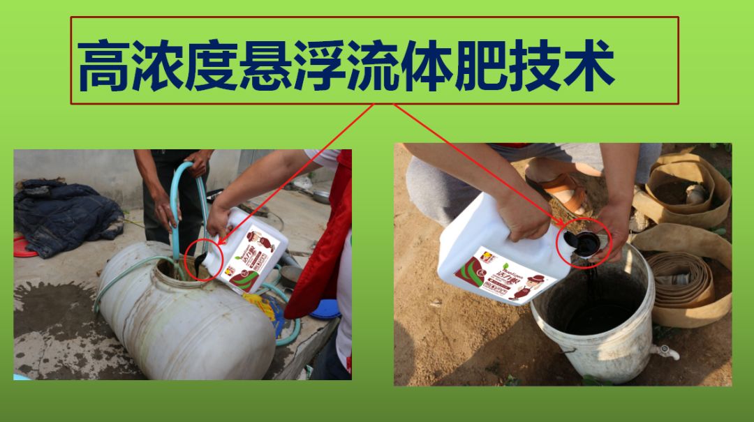 种姜怎么种产量更高,春耕进行时农村种姜