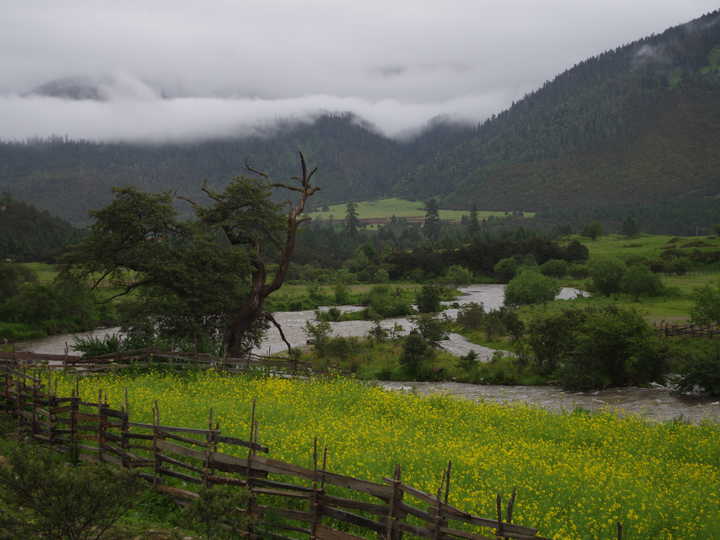 王小花的全部作品,王小花攻略