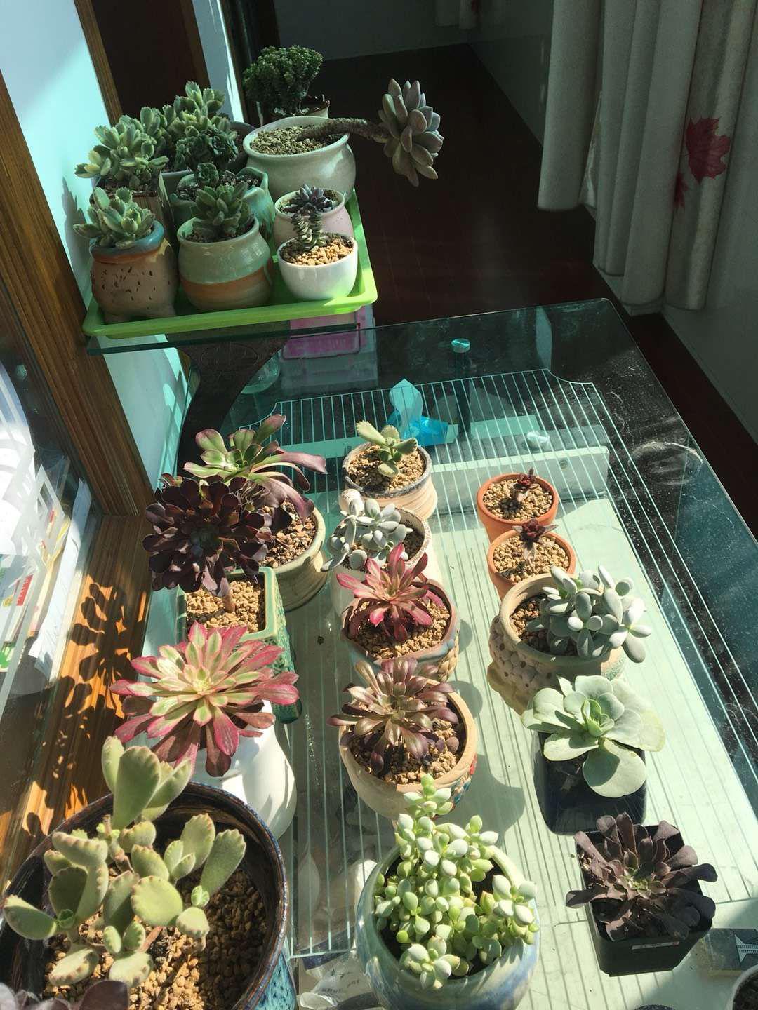 江阴人少景美,江阴有哪些人文景观