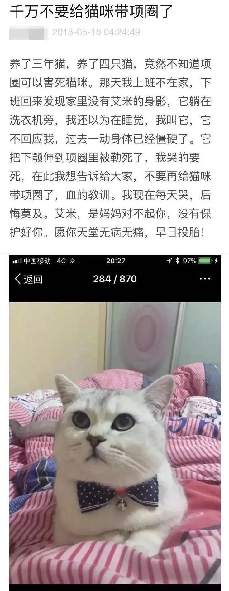 我亲手给猫戴的某款驱虫项圈，差点要了猫的命