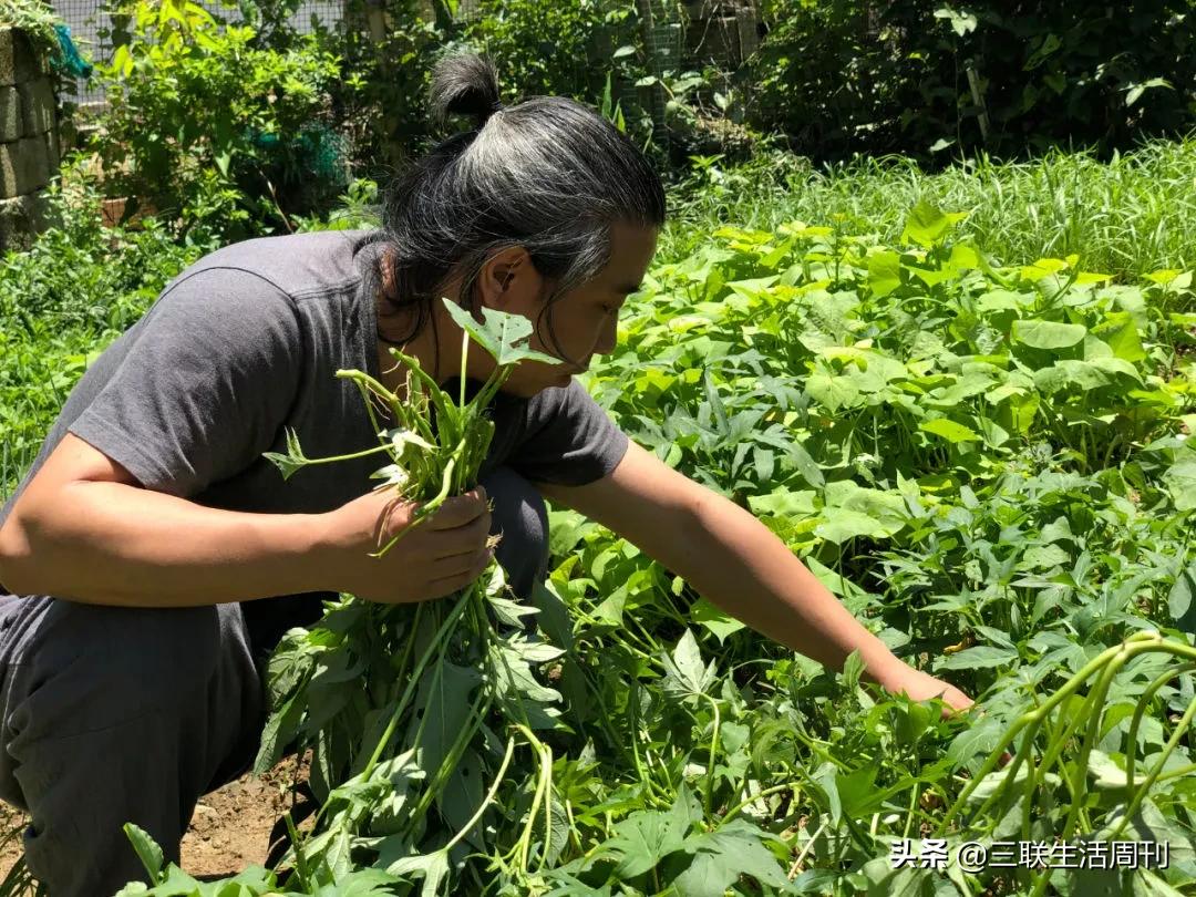 那些回村的年轻人,90后留在农村的真实生活