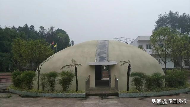 四川自贡市荣县金花,荣县金花乡桫椤谷