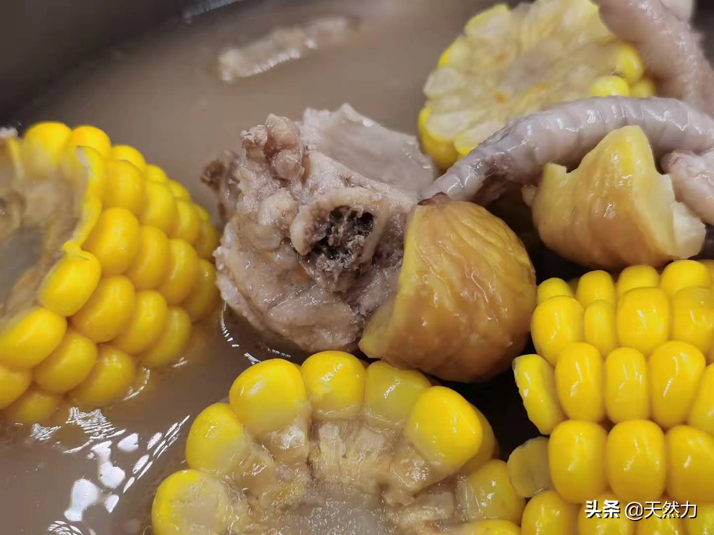 广东板栗骨头汤的做法,排骨靓汤家常煲汤大全