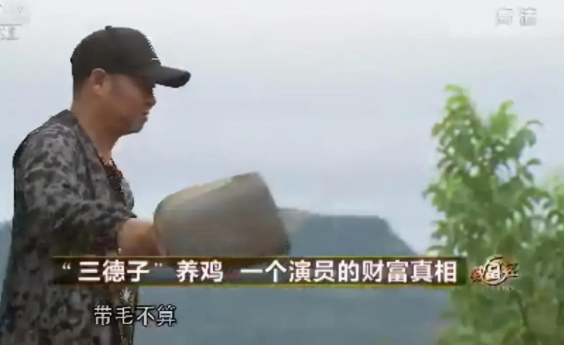 三德子带领乡亲致富,三德子靠养鸡赚上亿