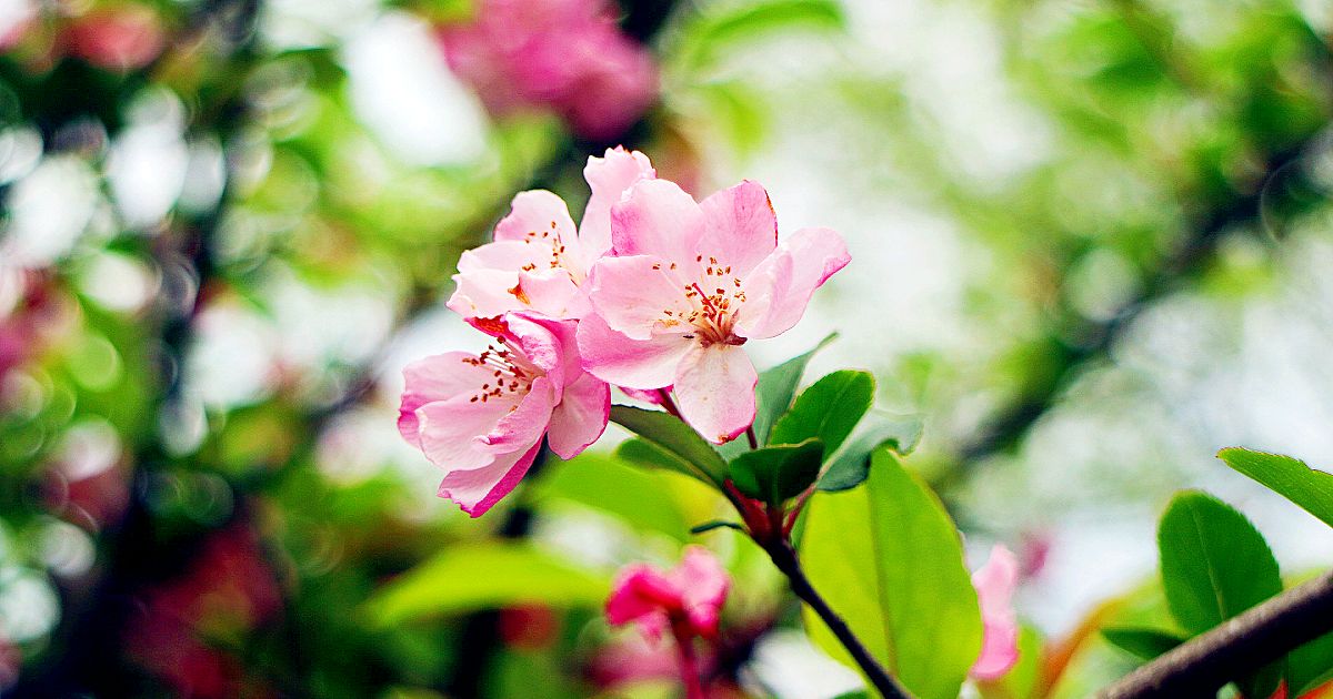 男人和女人三观合不合是指哪三观,家庭三观不合指哪三观