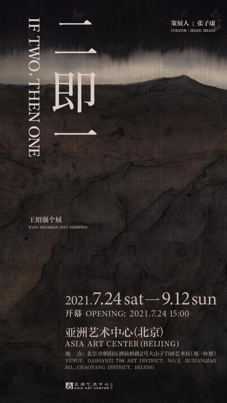 王绍强双年展,王绍强作品展