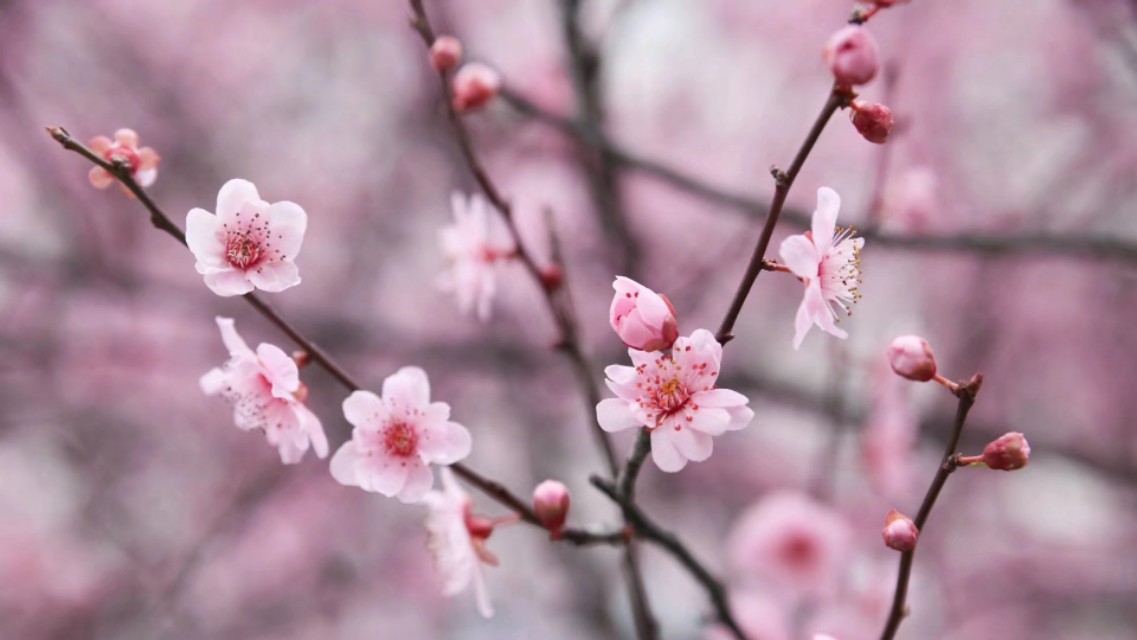 收益高的小众自媒体平台有哪些,十大收益最好的自媒体平台排名