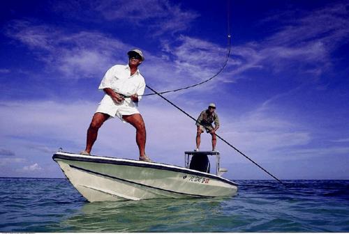 路亚竿上的数据参数怎么看,新手入门路亚如何选择钓竿