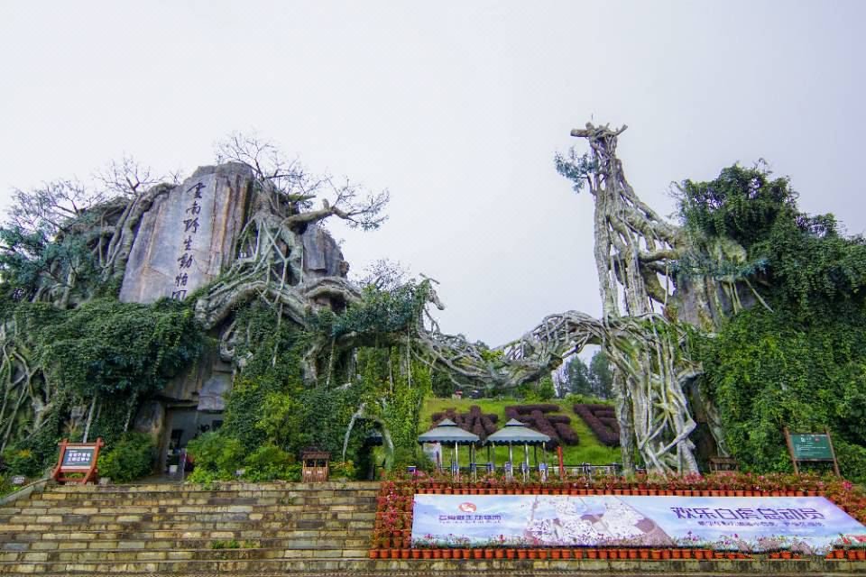 昆明有什么好玩的景点推荐一下,昆明有些什么好玩的景点推荐一下