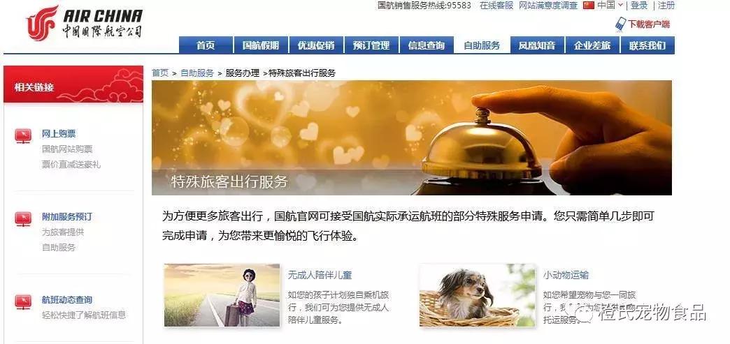 专业宠物托运飞机怎么带小狗,宠物托运需要宠物满足什么条件