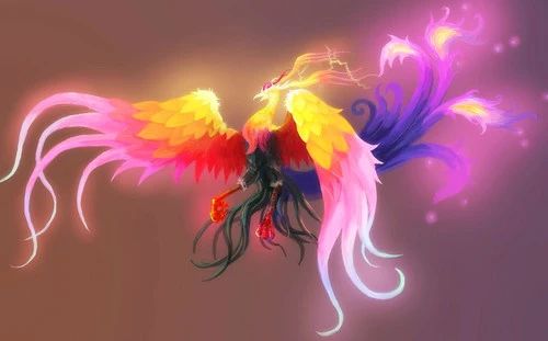 文化中国的筷子文化你了解多少,中国的筷子文化