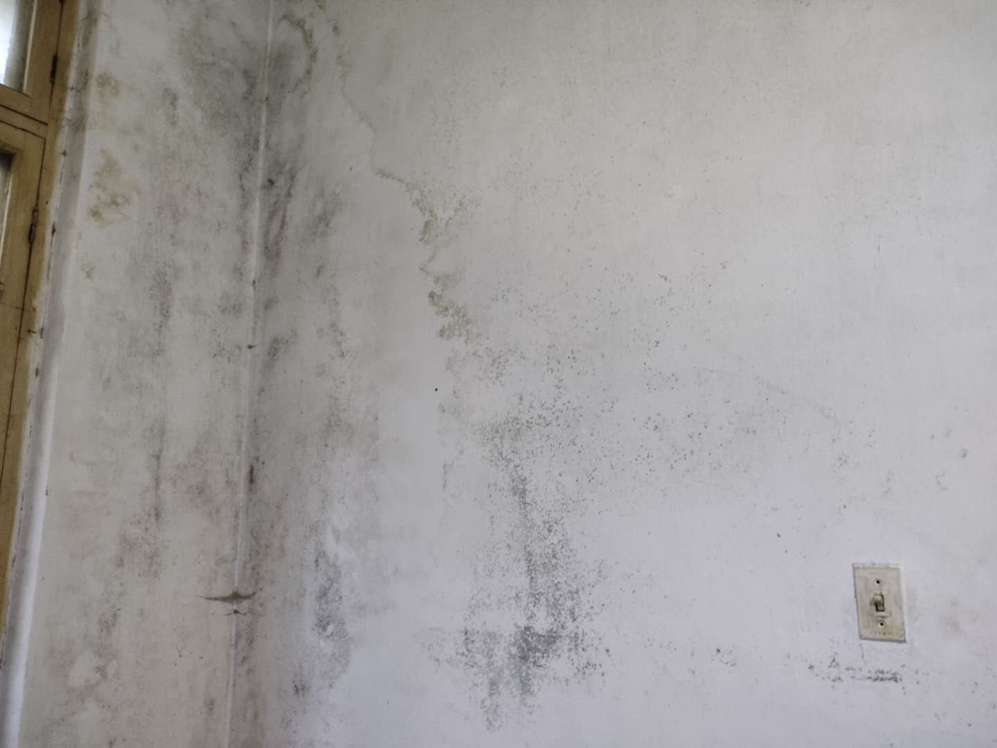 这个事情不是闹着玩的，室内养鱼很多的鱼友，一定要看这篇文章