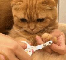 超薄便捷多功能指甲刀,指甲刀黑科技