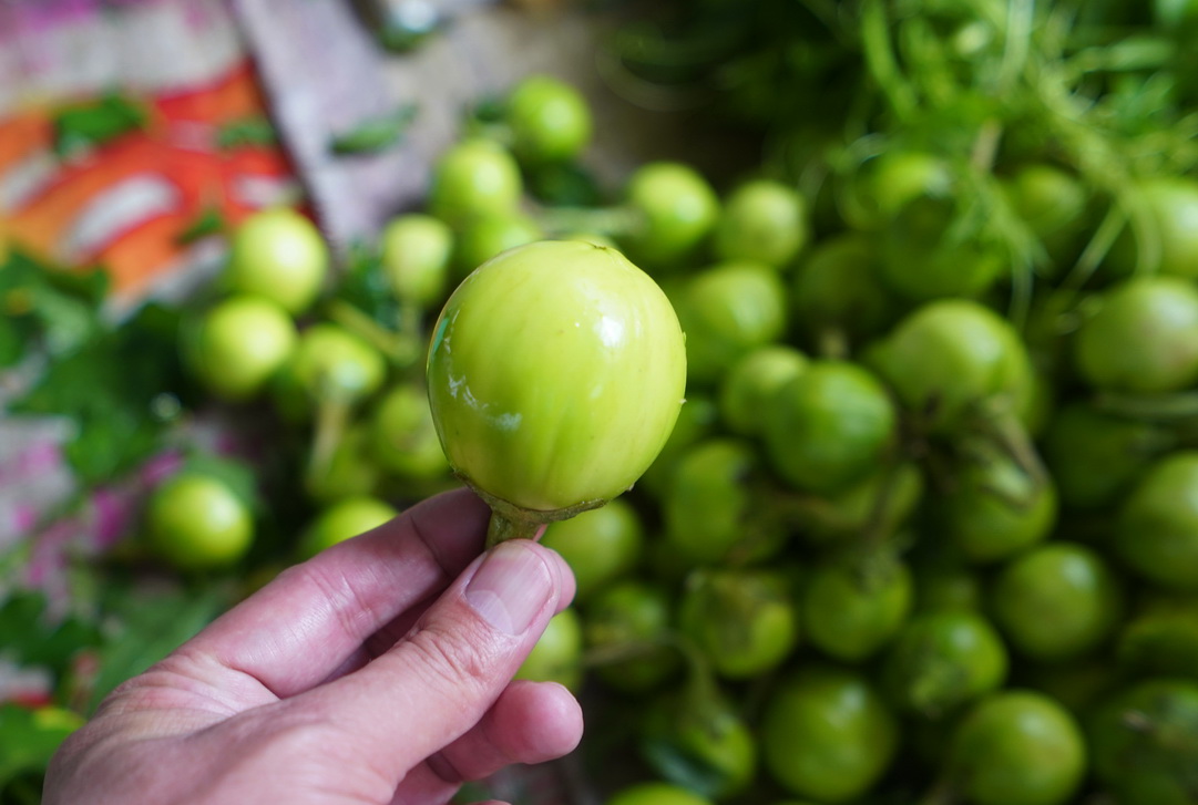 逛农村的农贸市场,逛屏边农贸市场