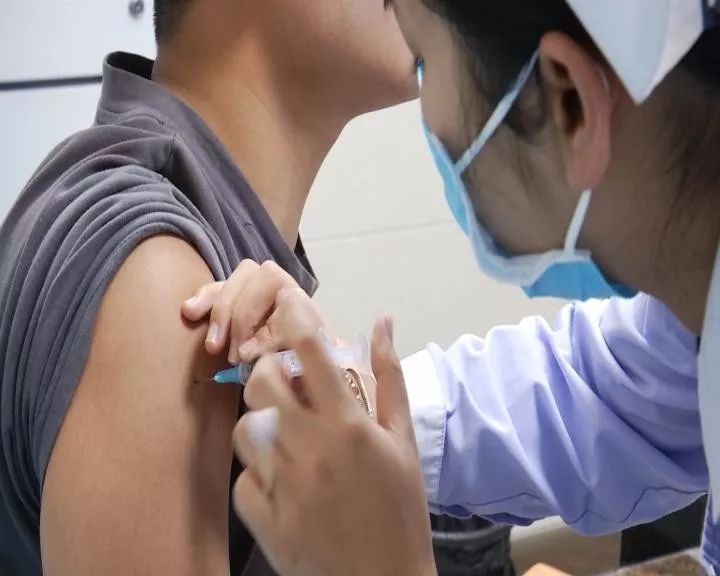 被熊咬伤要打狂犬疫苗？医生：被老鼠咬也要打