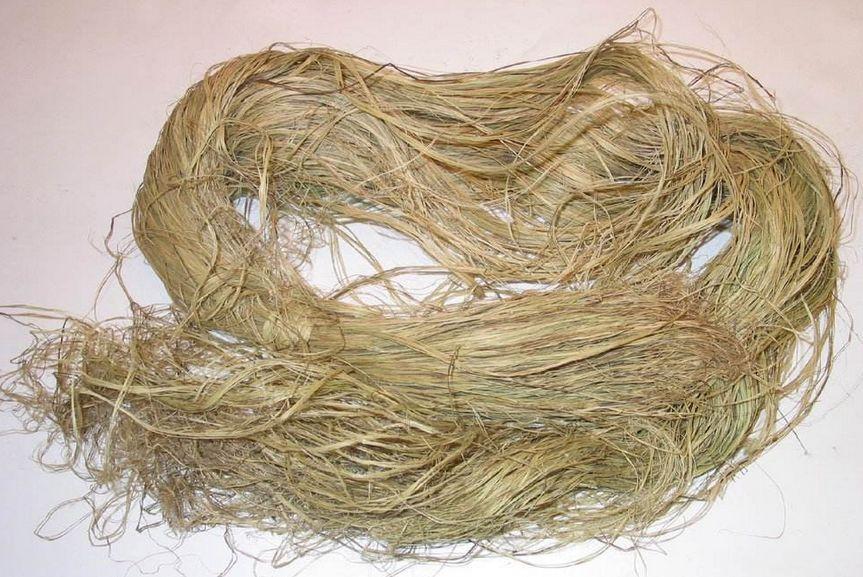 五谷指的是哪五种粮食怎么读,五谷是哪五种粮食和食物