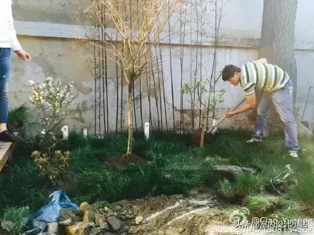 一家四口出租屋改造,旧出租屋省钱大改造