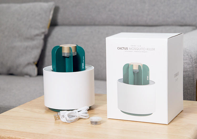 防辐射盆栽仙人掌,四季开花驱蚊的盆栽