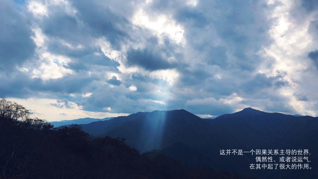 看到铲屎官终于回家，立即安心地睡着了|冷段子1986