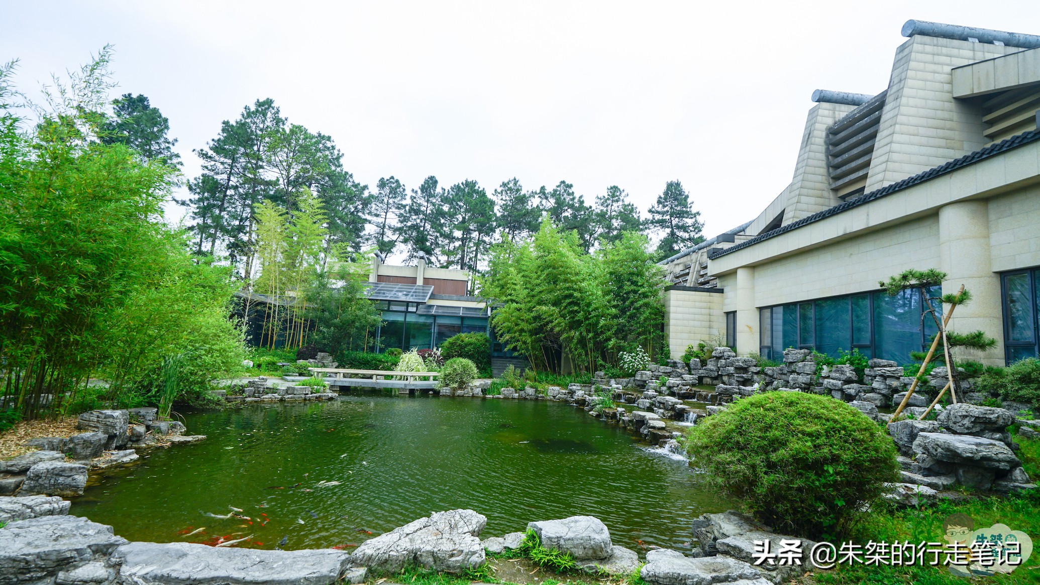 以竹编闻名的地方,竹之乡的美称