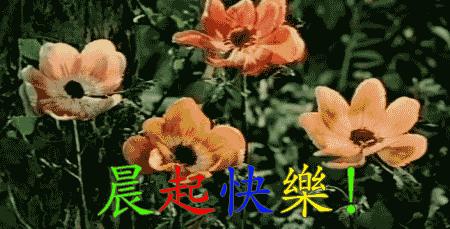 4月25日早安,4月25日早安问候图片