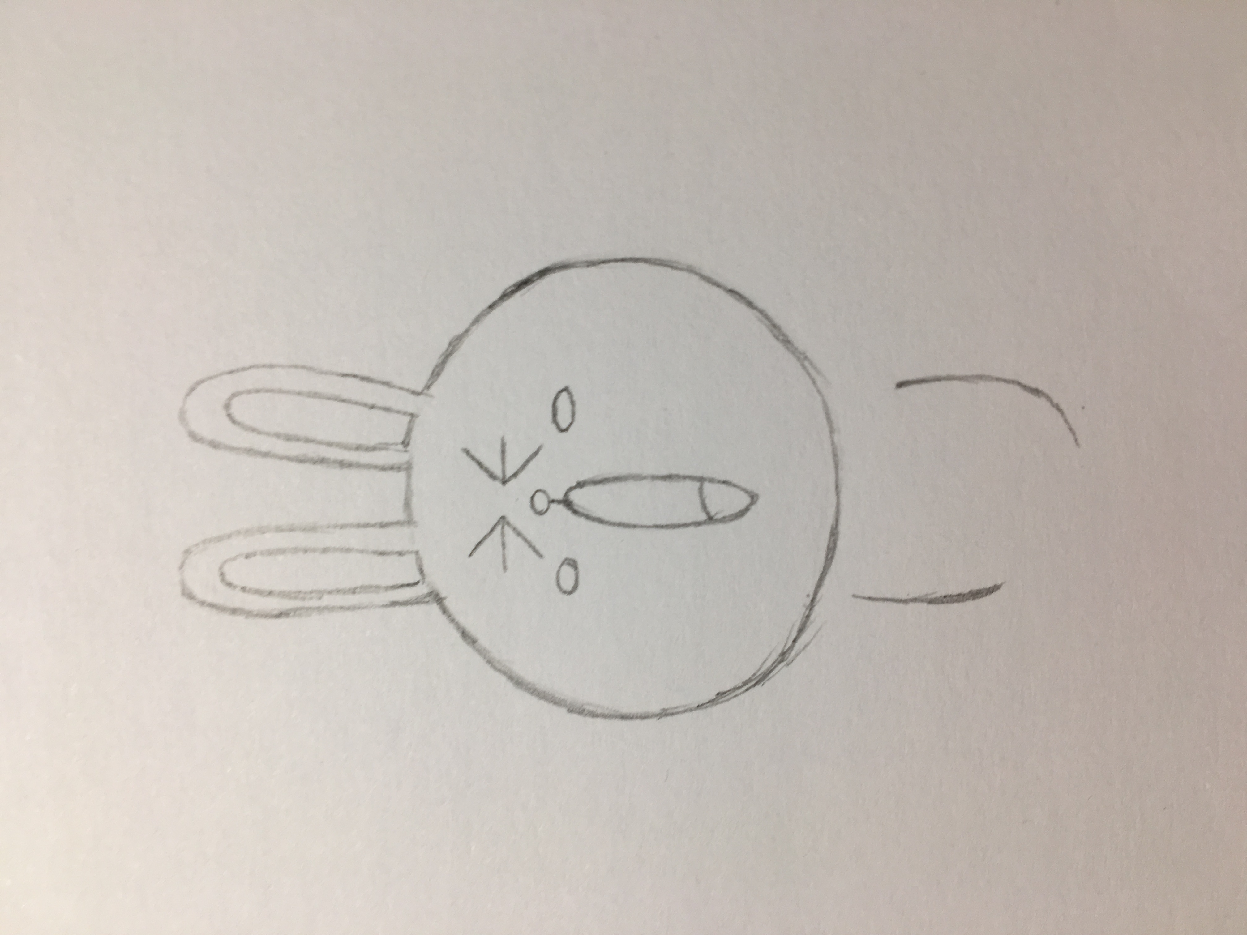 可妮兔怎么画简单又好看,简笔画可妮兔图片