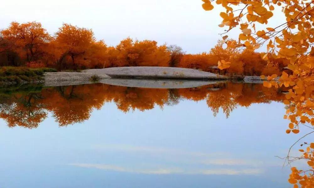 北疆的美完整版,北疆的景最美