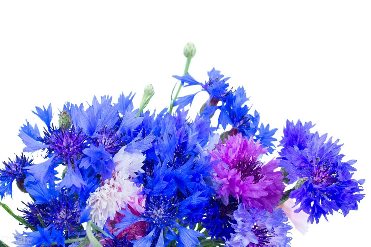 目前爱沙尼亚现状,揭秘爱沙尼亚