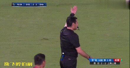 上港对泰山主裁判,伊朗裁判法加尼上港