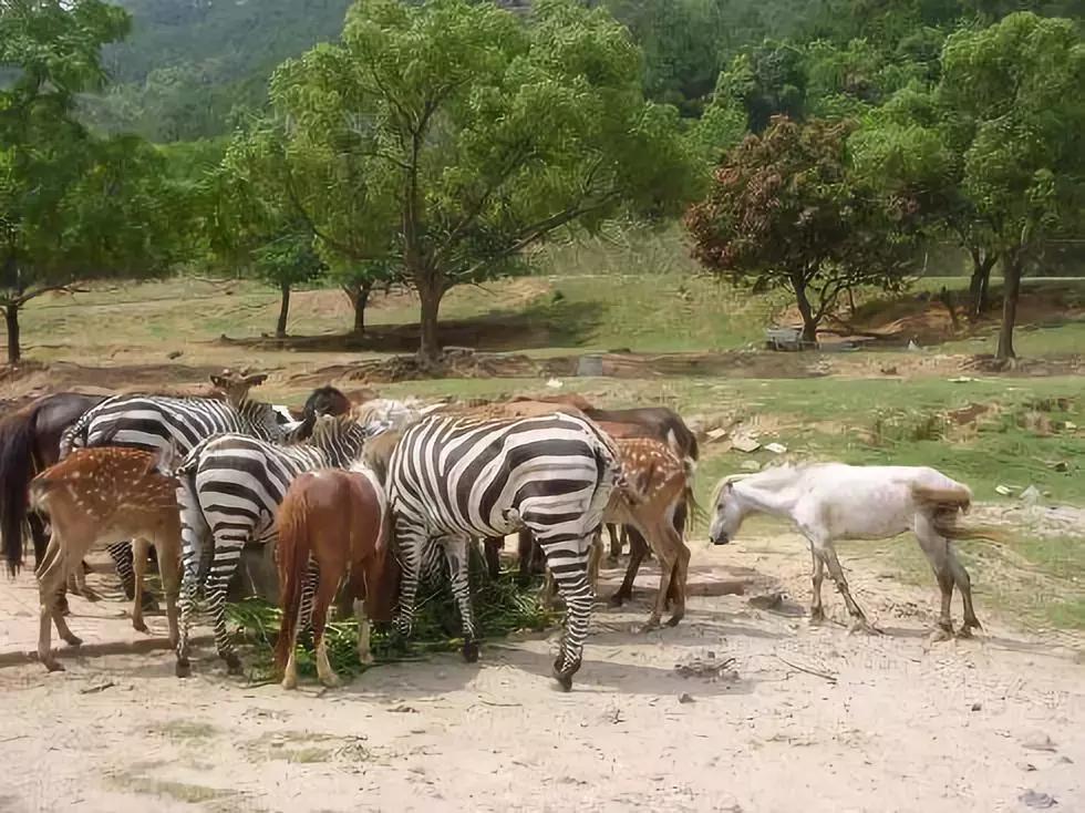漳州和厦门全面对比,漳州和厦门经济比拼