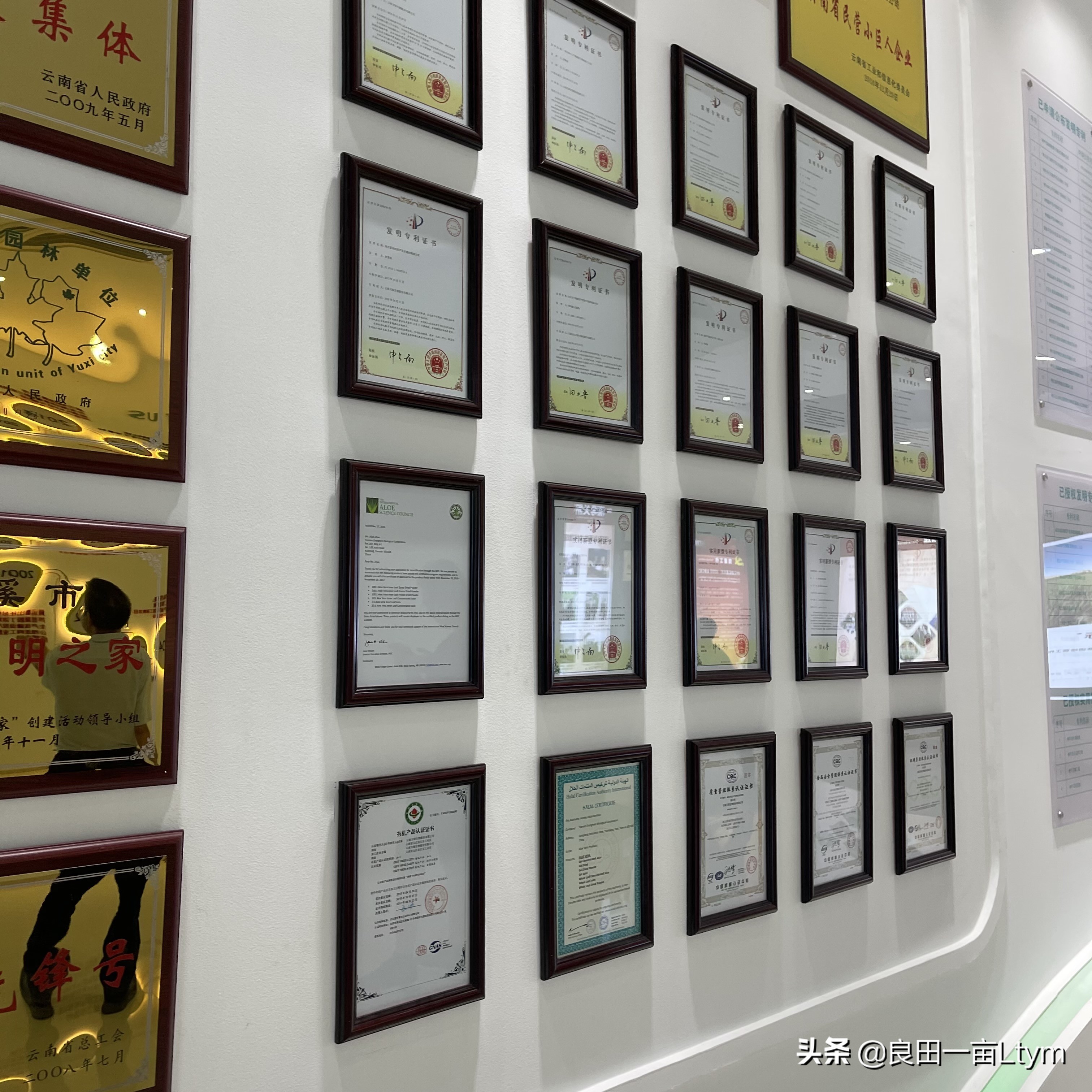 云南天然芦荟护肤品舒缓调理 (云南元江万亩芦荟基地的芦荟水)