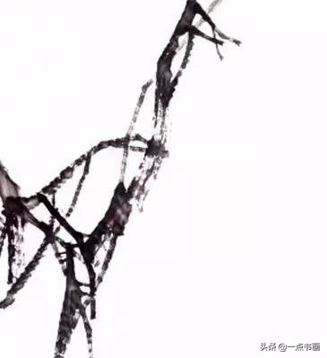 柿子公鸡写意画法,徐湛写意柿子的画法