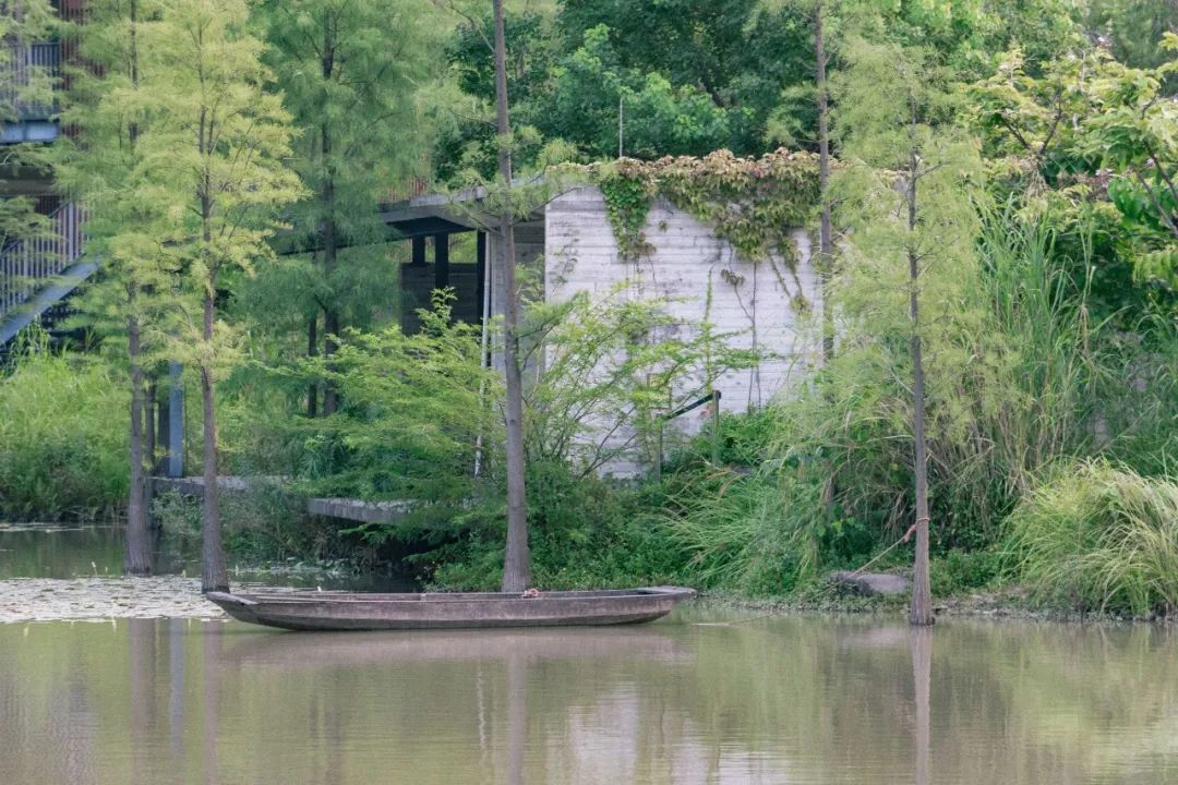 深圳宝安喝茶的世外桃源,宝安西乡世外桃源