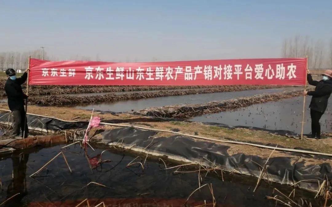 山东农产品对接平台运营数据,山东生鲜农产品运营平台