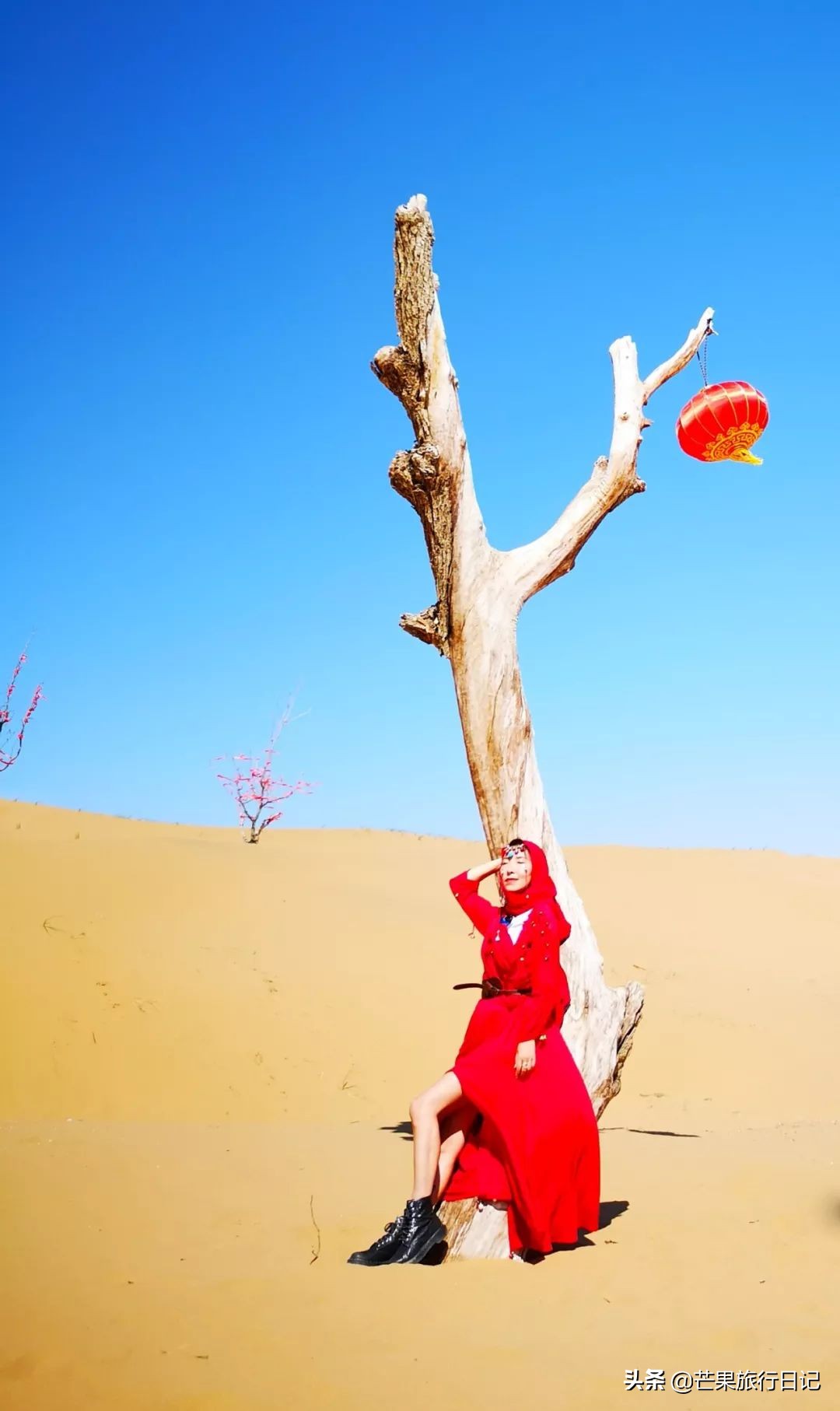 宁夏，中国最低调自治区，一半沙漠一半绿洲，被称为“塞上江南”