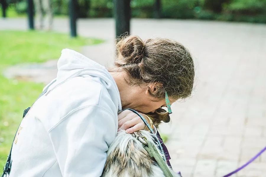 救流浪狗的真实记录,一外国人来中国救助流浪狗