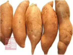 世界稀奇水果品种大全,世界热带奇特水果品种介绍