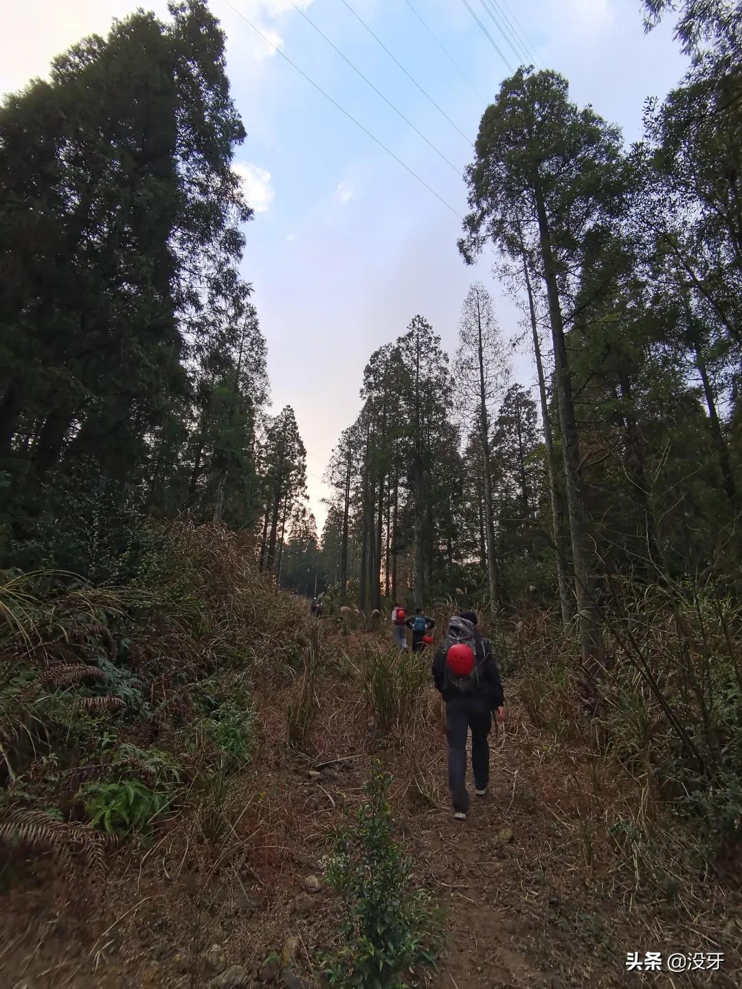 罗源管柄溪钓鱼,罗源管柄溪介绍