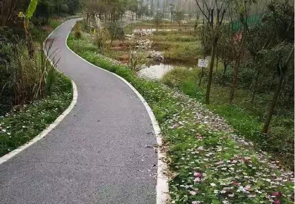 双流夜景必打卡之地,成都双流免费打卡景点