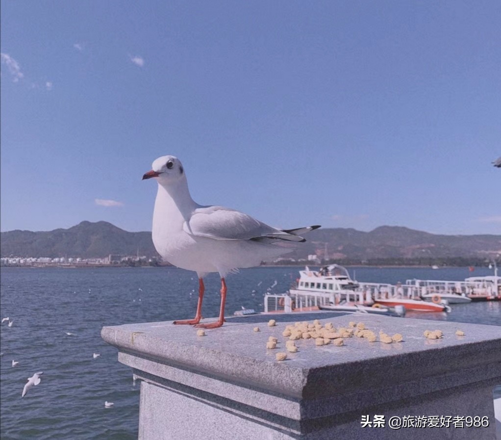昆明大理腾冲版纳七日自驾游,腾冲到西双版纳自驾