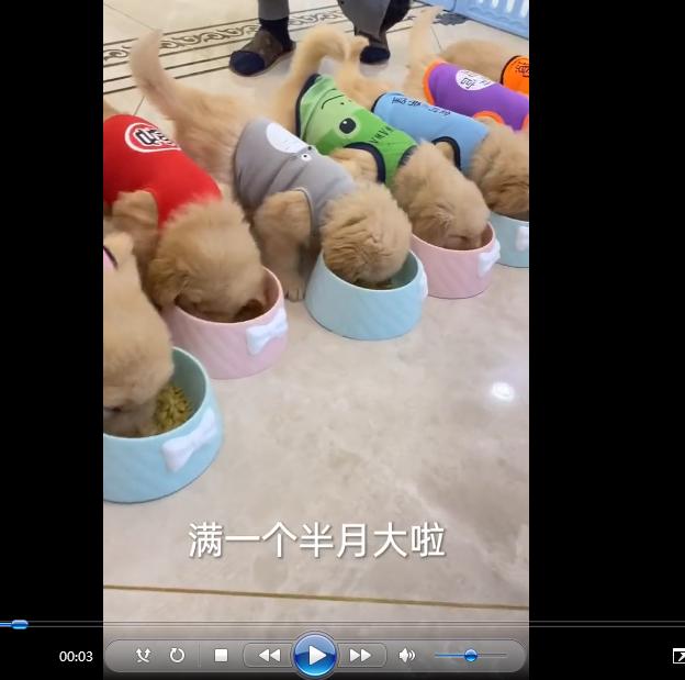 美拍如何保存高清图片,怎样保存美拍视频到本地