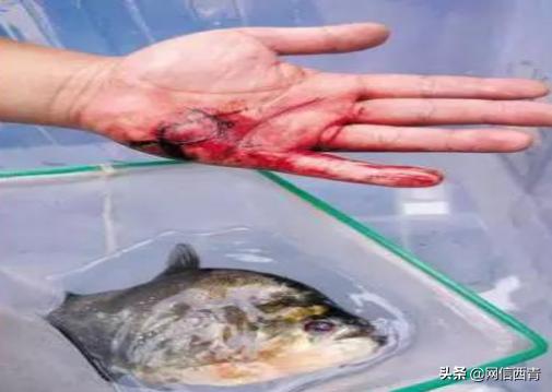 全民国家安全教育日的感受和看法,全民国家安全教育日筑牢国家安全