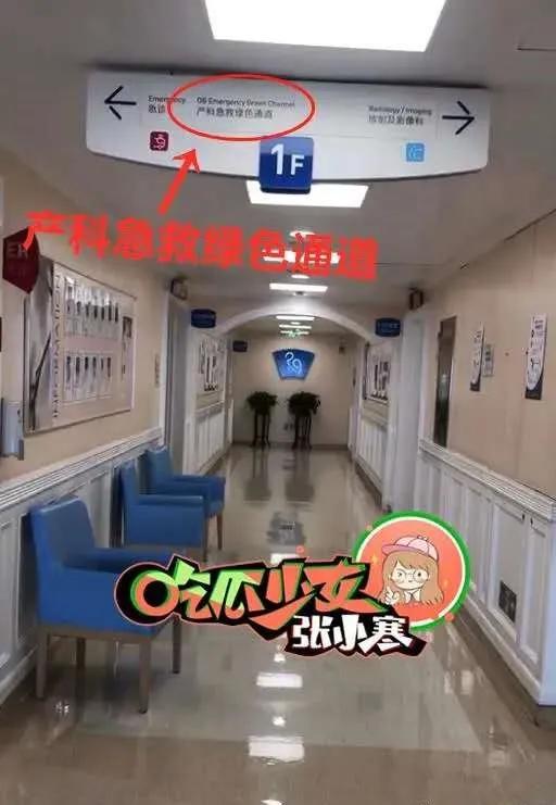 郑恺冯女郎现状,郑恺冯女郎最新消息